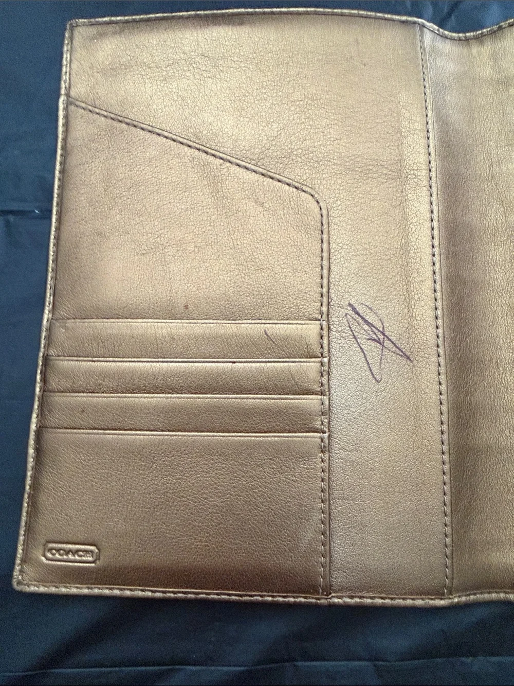 Coach y2k 6x8